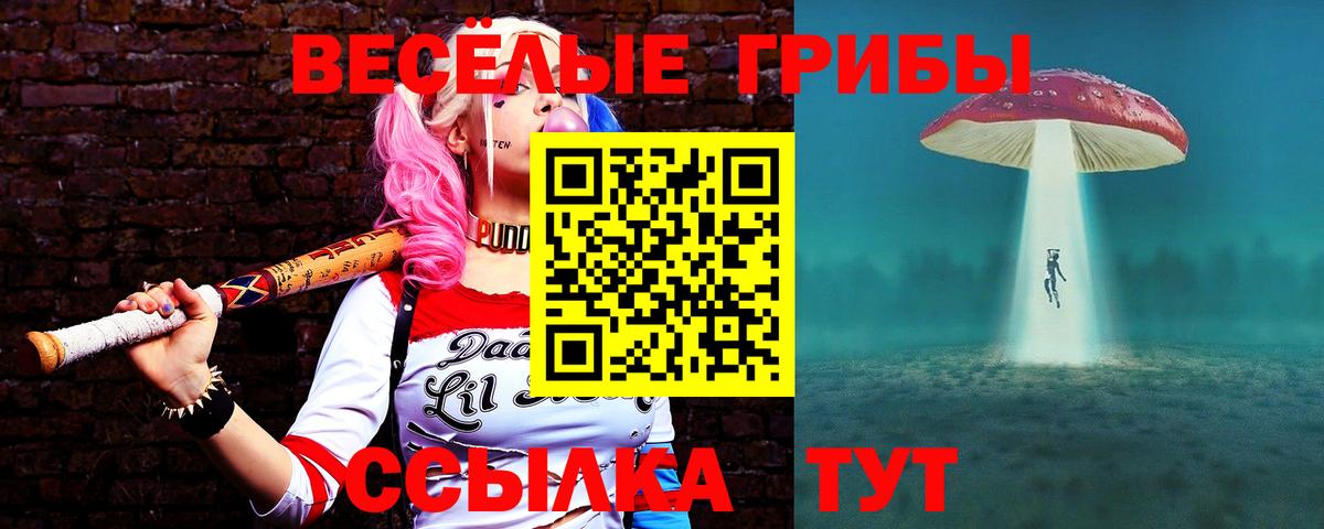 Галлюциногенные грибы Cubensis Асино