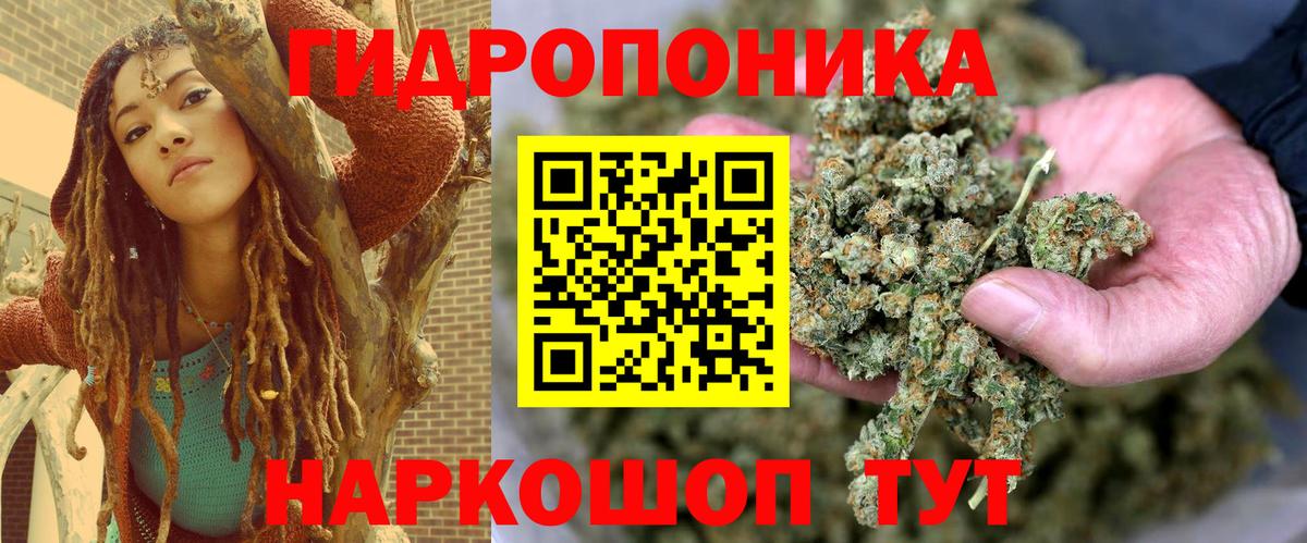Канабис White Widow  Вход с VPN  Бошки Шишки планчик  Асино  Канабис ГИДРОПОН 